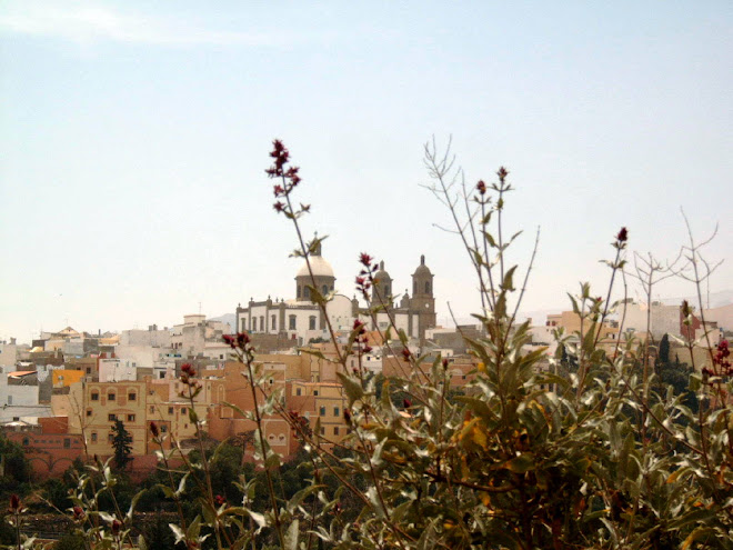 Vista de Agüimes desde Ingenio I