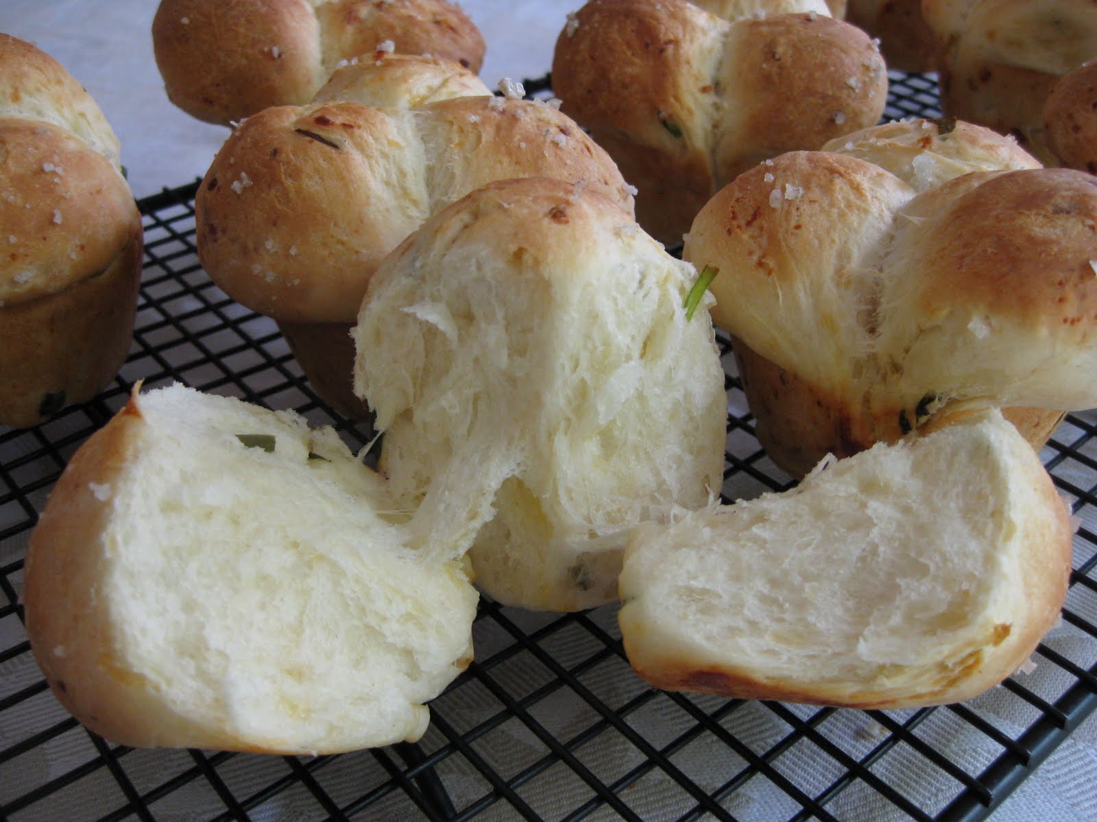 If Music be the Food of Love, Play On Homemade Ramp and Cheddar Cheese