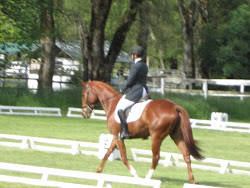 Dressage