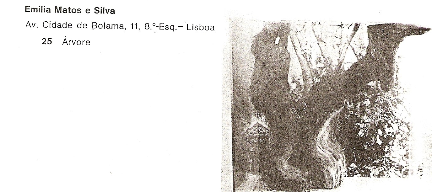 [CATALOGO+ÁRVORE.jpg]