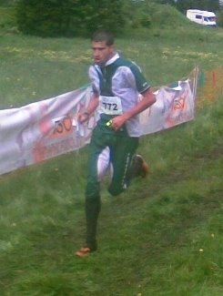 [arrivo_redebus.jpg]