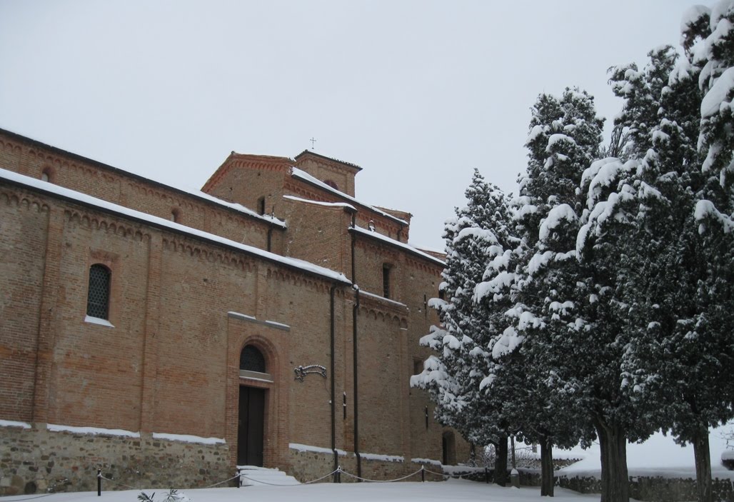 [white_training+(3).jpg]