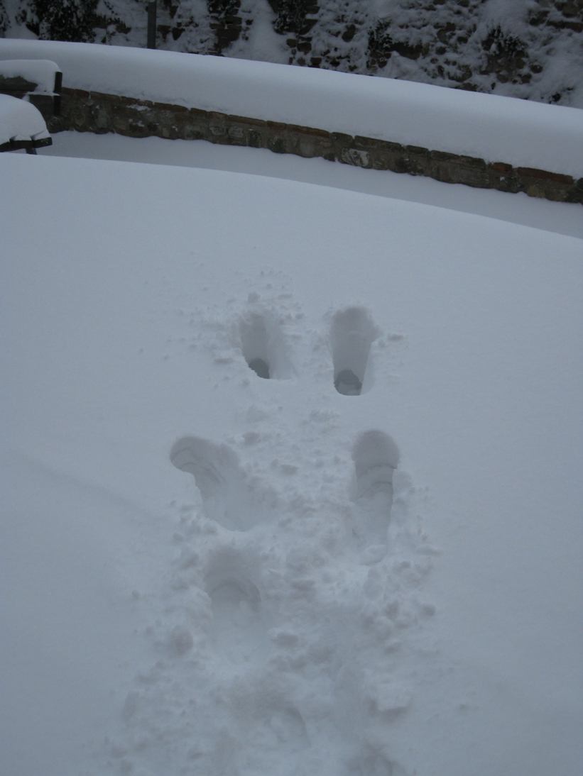 [white_training+(5).jpg]