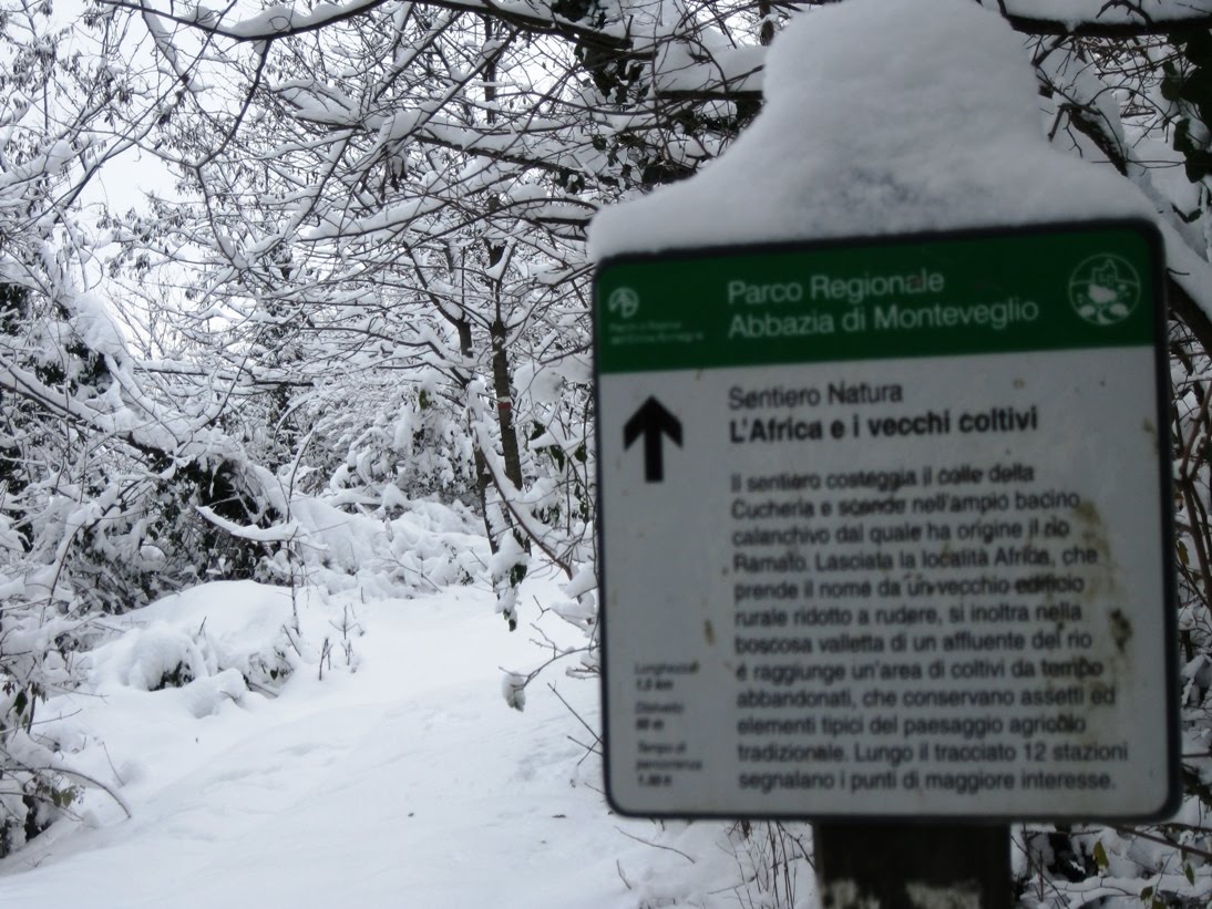 [white_training+(8).jpg]