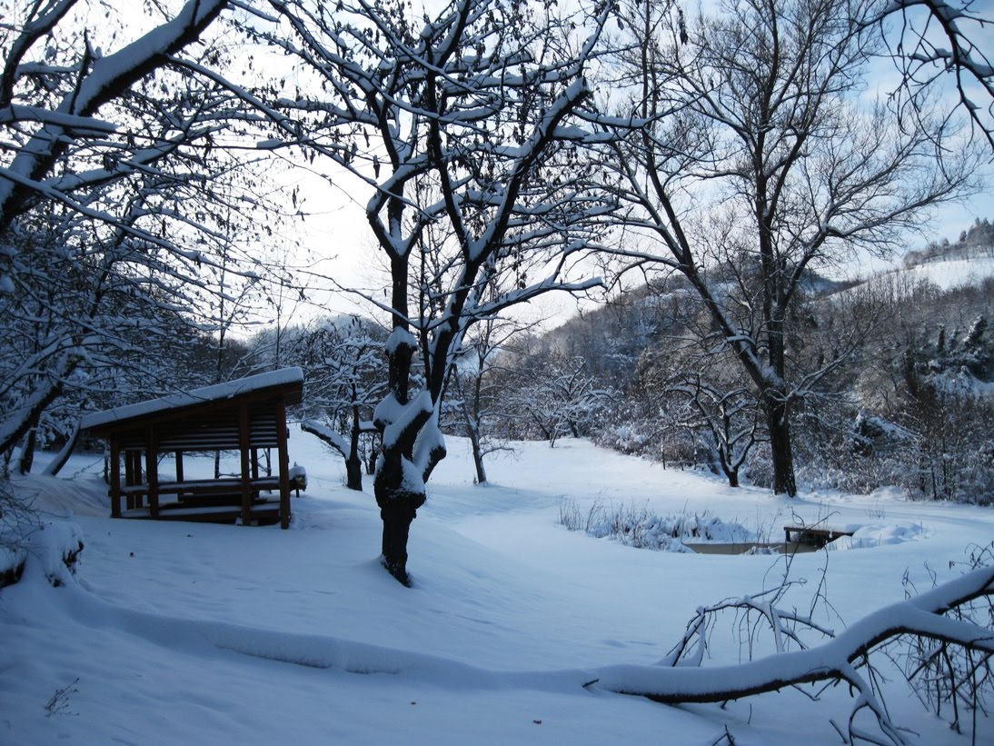 [white_training+(11).jpg]