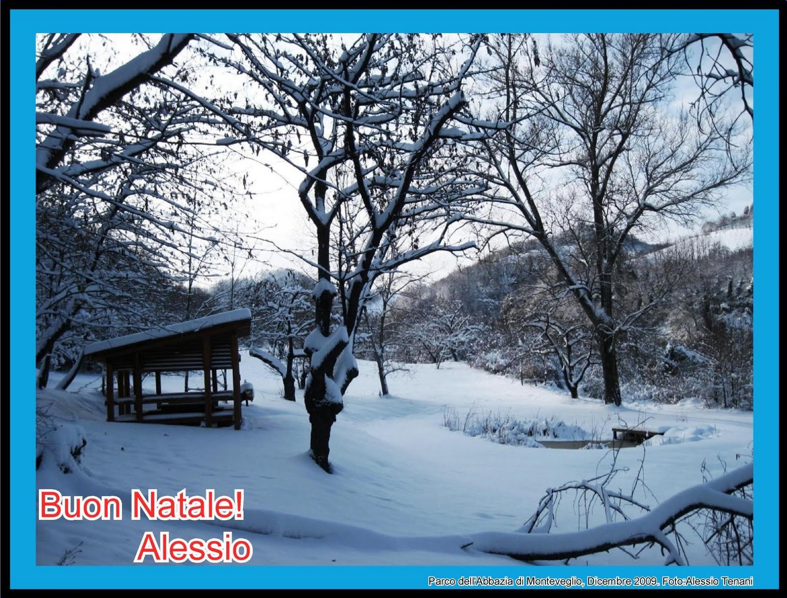 [Buon_Natale_2009.jpg]