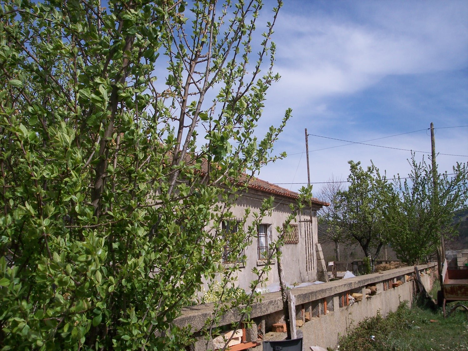 [Festival+Secundário+084.JPG]