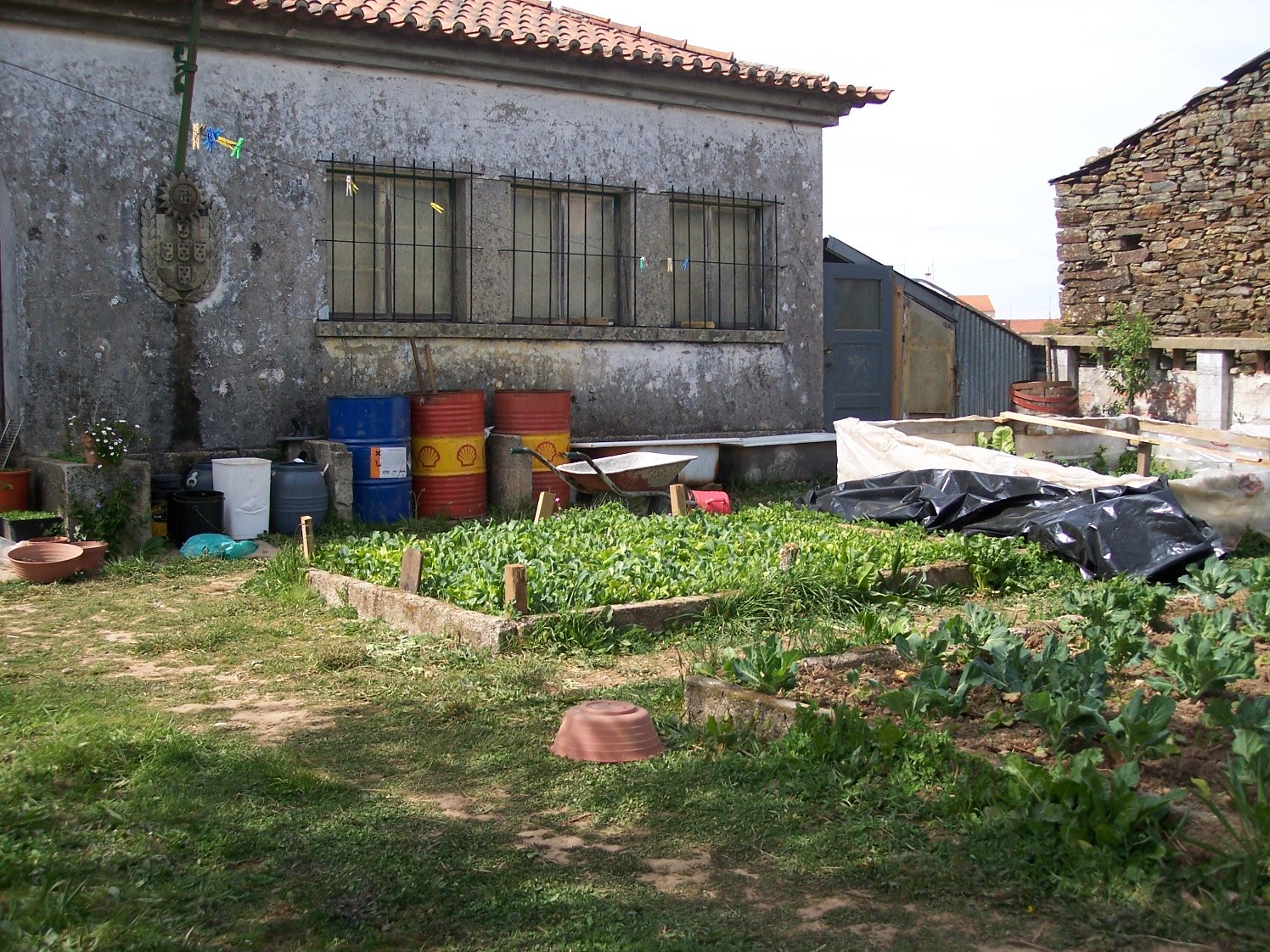 [Festival+Secundário+079.JPG]