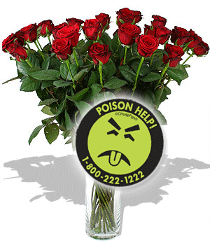 Roses in a vase with a Mr Yuk sign