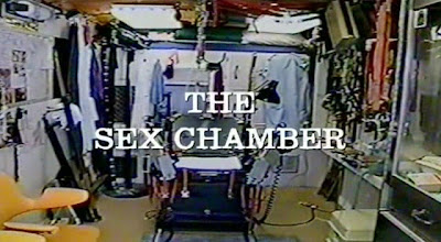 [Image: the.sex.chamber.ws.pdtv.xvid-remax4.jpg]