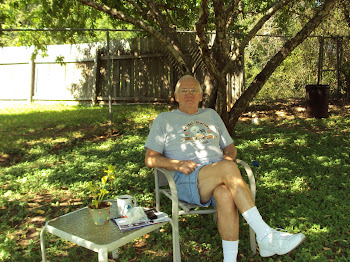 The old man under the peach trees