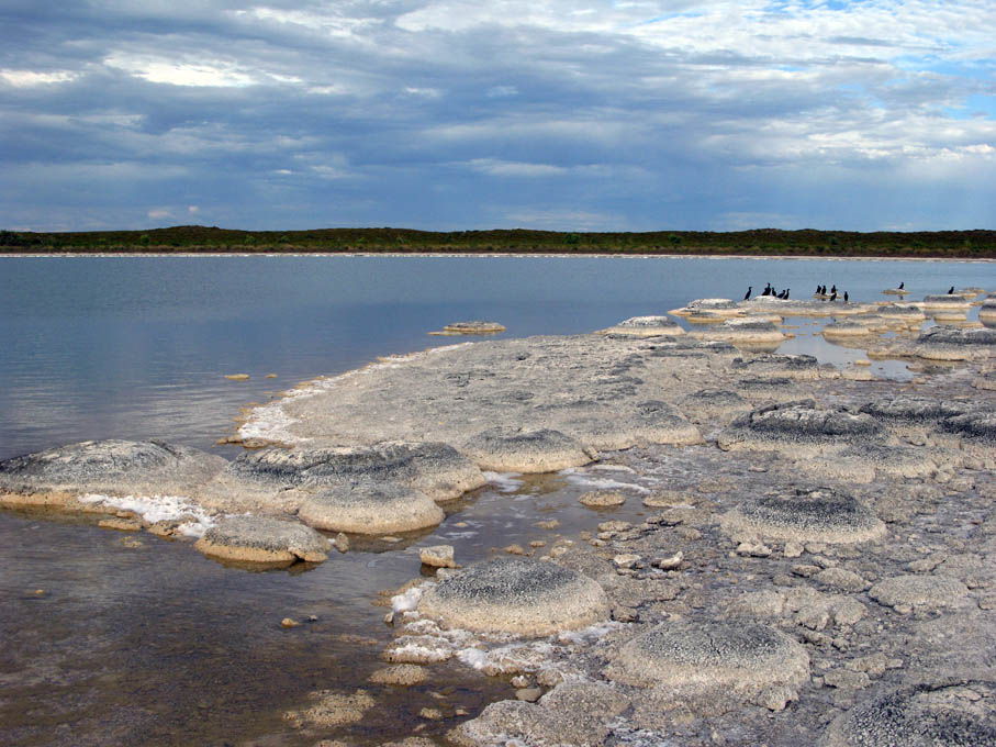 [Stromatolites1.jpg]