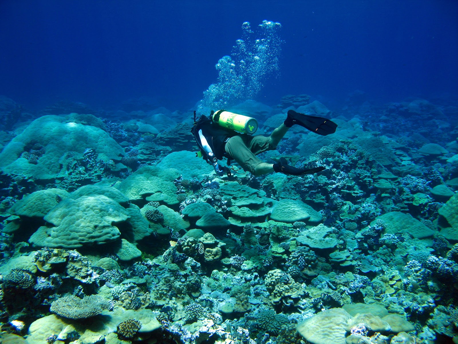 can you visit kingman reef