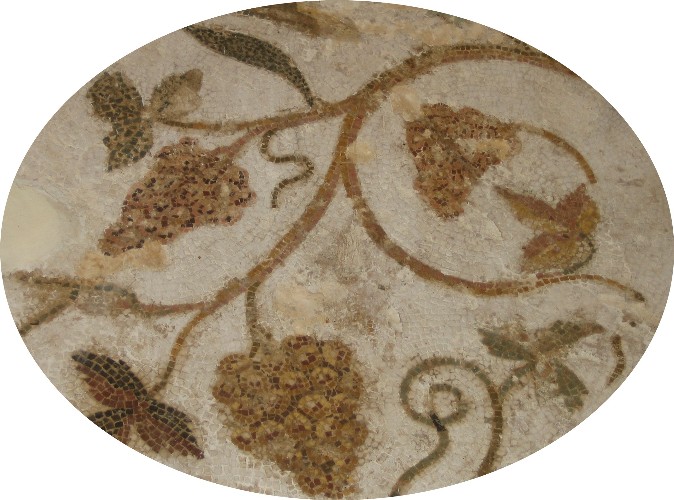 [Copia+de+IMG_3883.JPG]