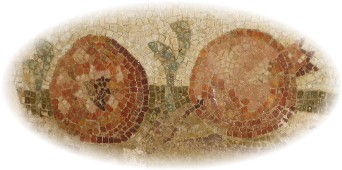 [Copia+de+IMG_3847.JPG]