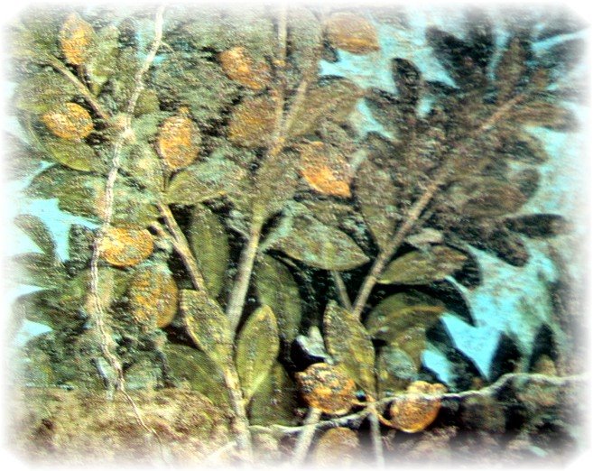 [Copia+de+IMG_3272.JPG]