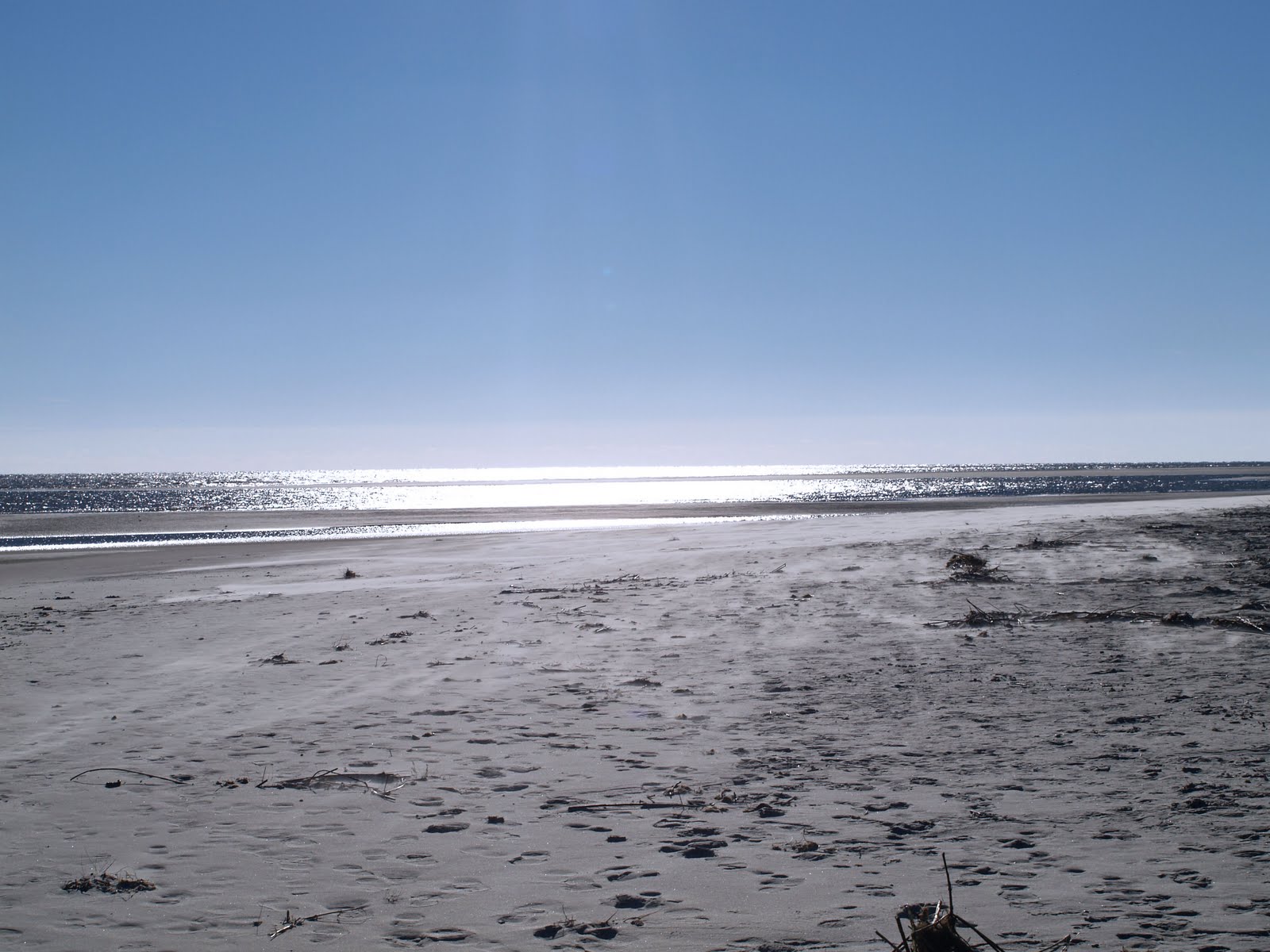 Harbor Island, SC beach The Phizzingtub