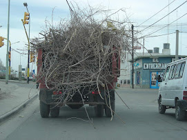 CAMION MUNICIPAL