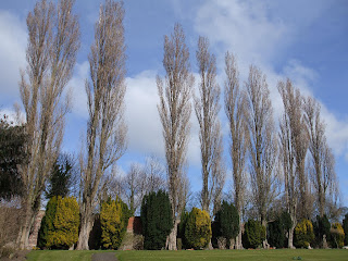 Wallsend Civic Hall Grounds Wallsend Civic Hall Grounds