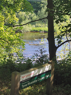 Tyne Riverside Country Park Tyne Riverside Country Park