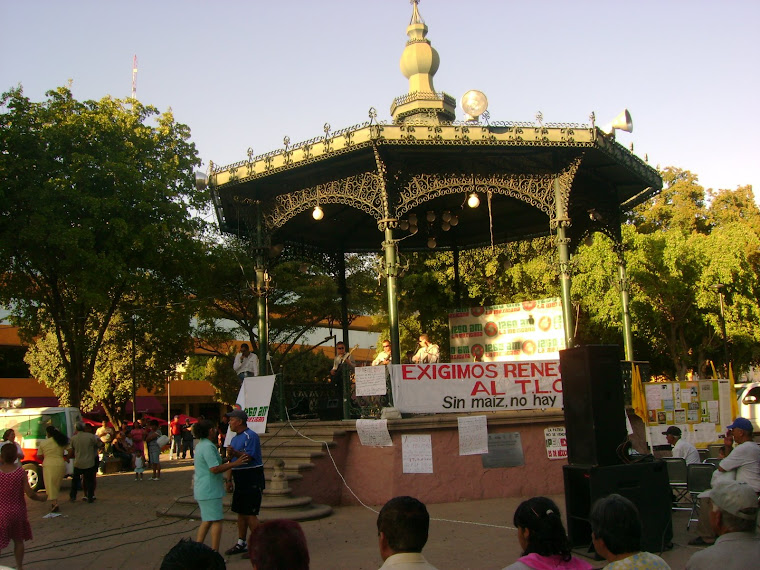 Bailando en la Plaza Àlvaro Obregòn