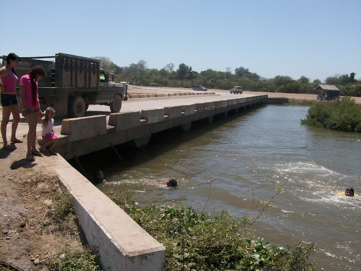 Puente de Palos Blancos sobre el Río Tamazula.