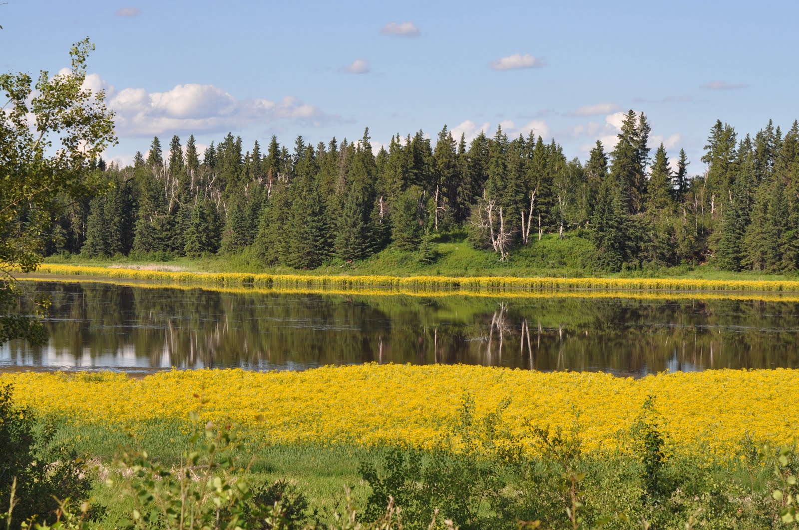 Postcards from JR and Christa Alberta’s Elk Island National Park and Edmonton the Capital