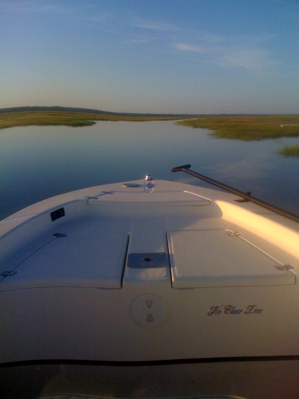 jersey-cape-guide-service-bluefish-on-the-flats