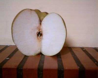 As minhas plantações Pêra (variedade) Passe crassane