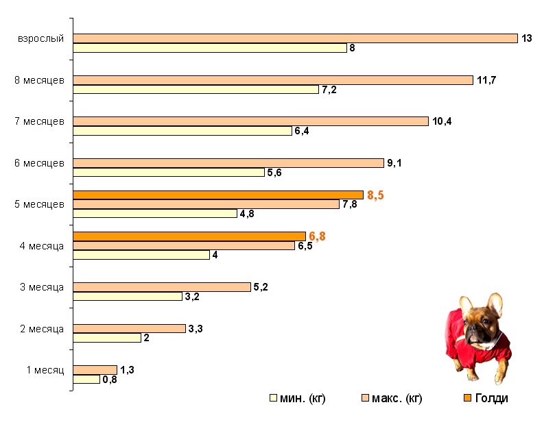 Вес стаффа: найдено 85 изображений