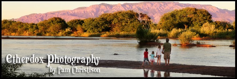 Etherdox Photography - Albuquerque Children and Family Photography