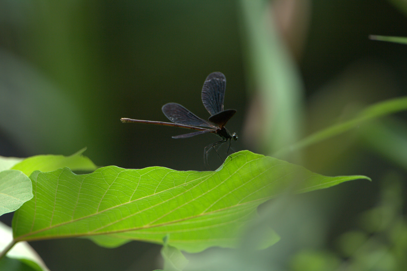 さらに 13 秒の完璧なタイミングでのシーン