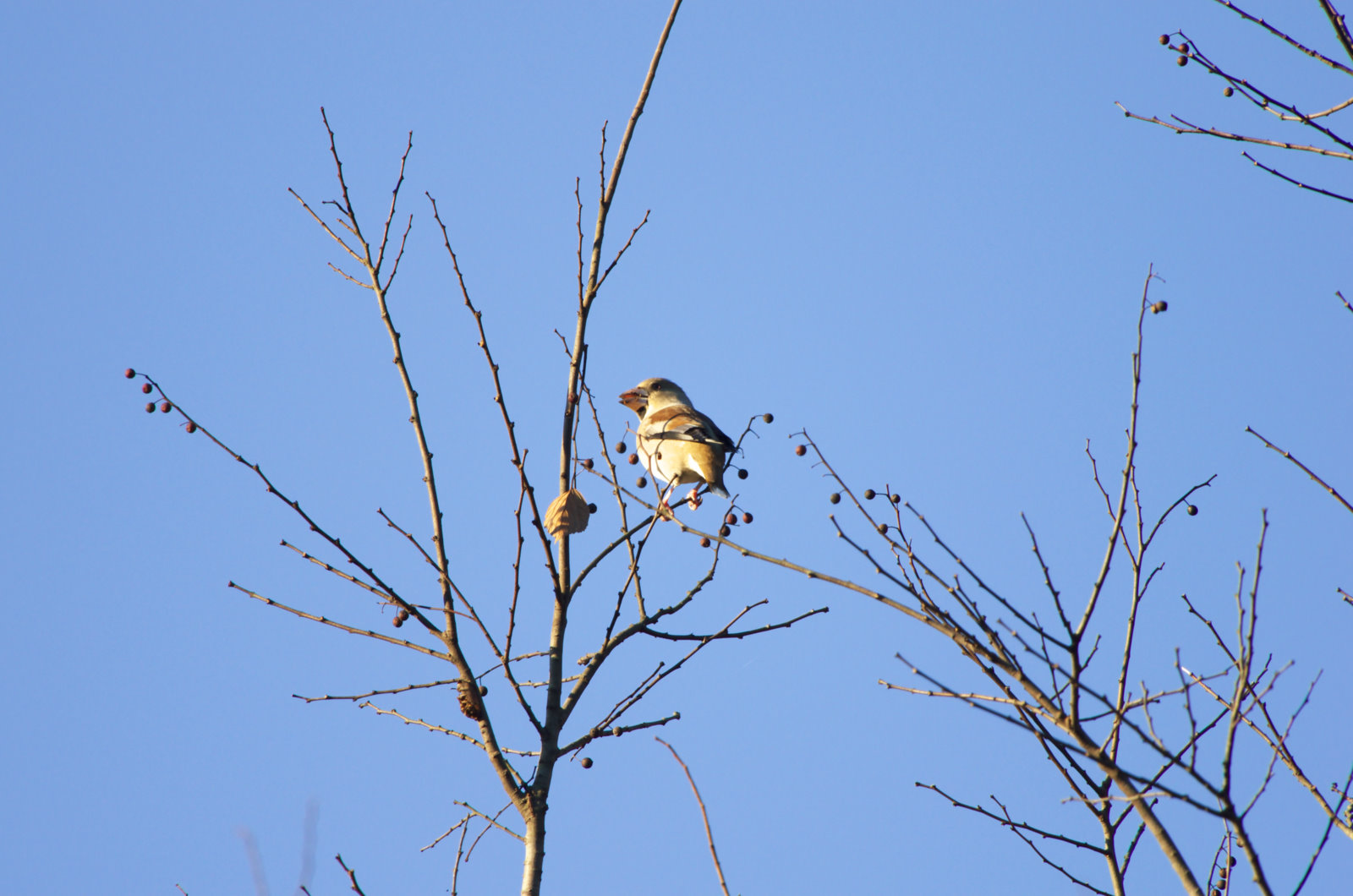 水生生態系: それは何か、特徴、種類、例 - 海洋または海水の水生生態系