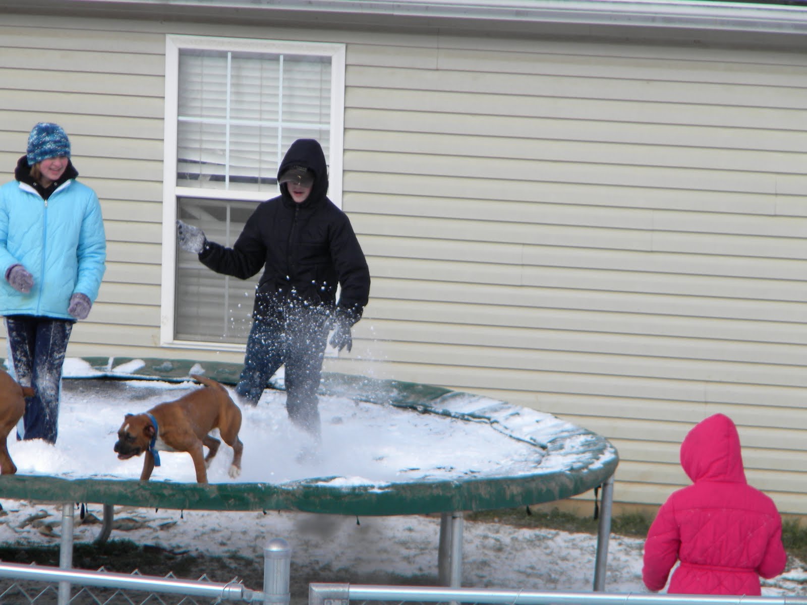 [snow+day+017.jpg]