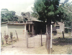 Parte de las casas en "La Laguna de Santa Teresa":