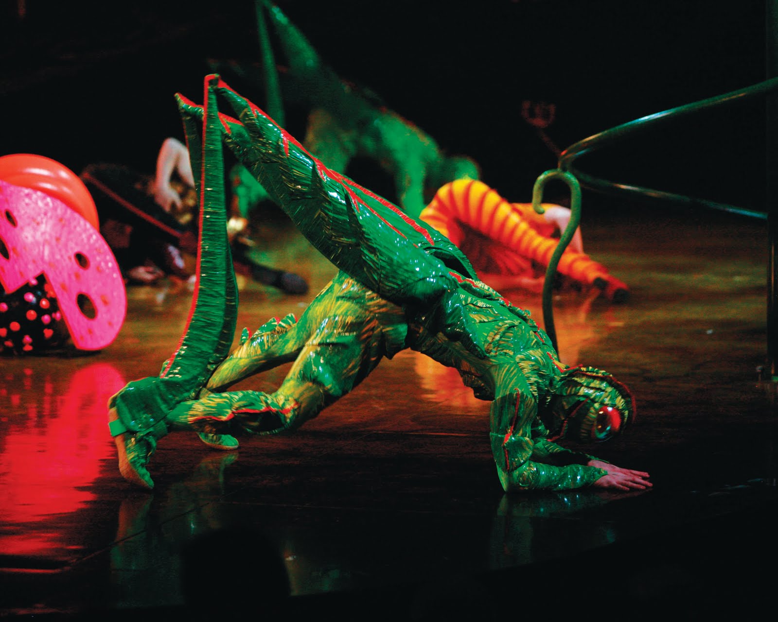 Reflections in the Light Review Cirque du Soleil's OVO on Randall's