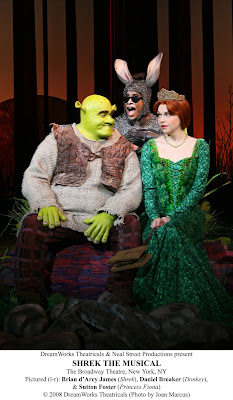 Reflections In The Light Review Shrek The Musical
