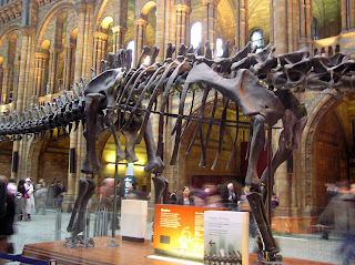 London_Museum-of-Natural-History