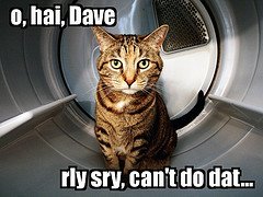 [Sorry+Dave+cat.jpg]