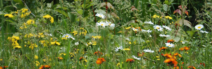 Roadside Bouquet
