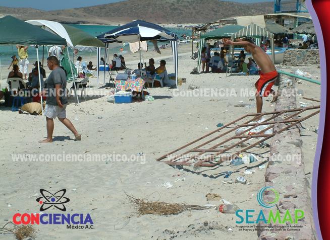 ConCIENCIA México A.C.: PROBLEMA DE LA BASURA EN LAS PLAYAS....