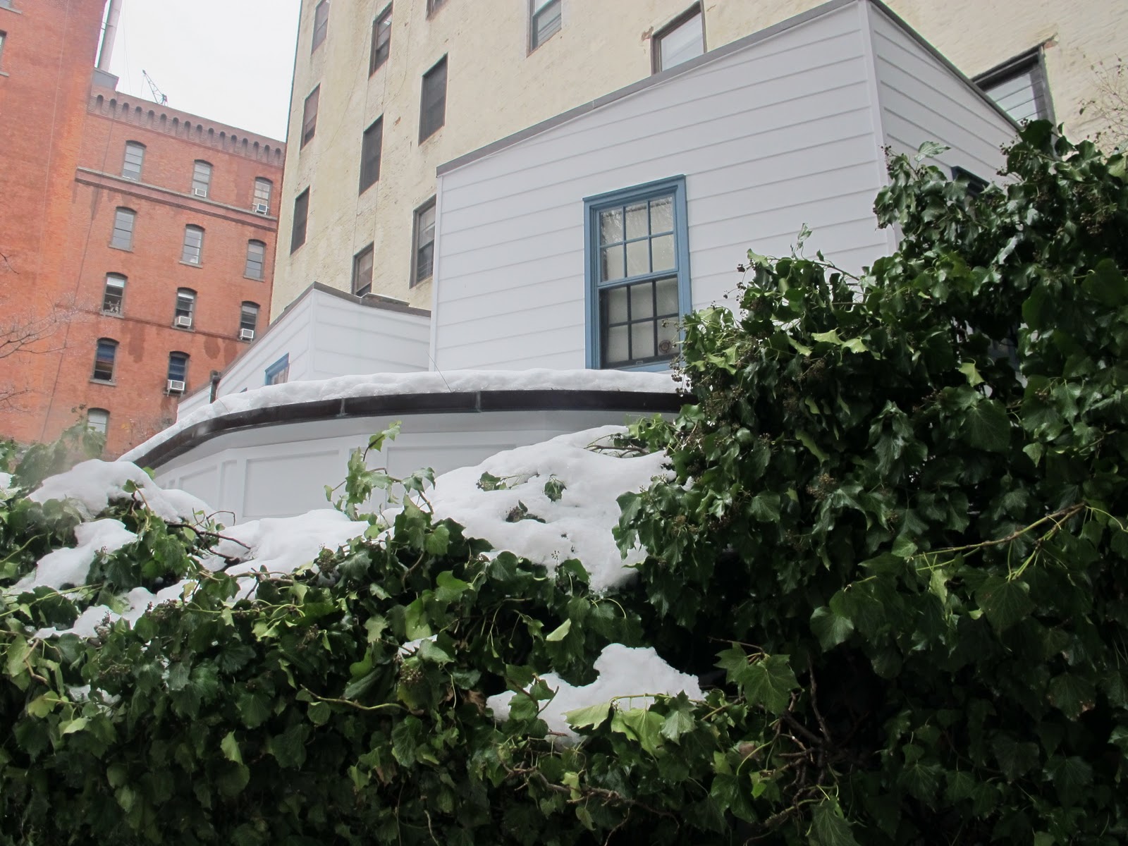 TT n Sheldy Tea, Sympathy and the West Village