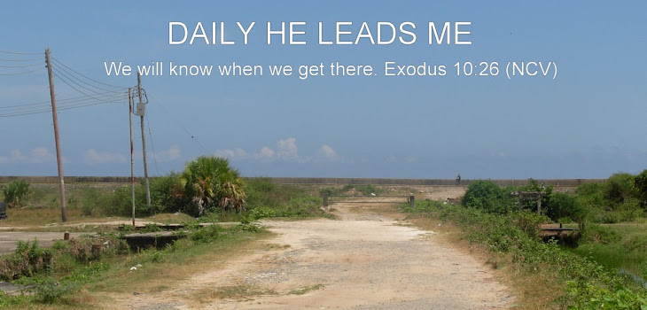 DAILY HE LEADS ME