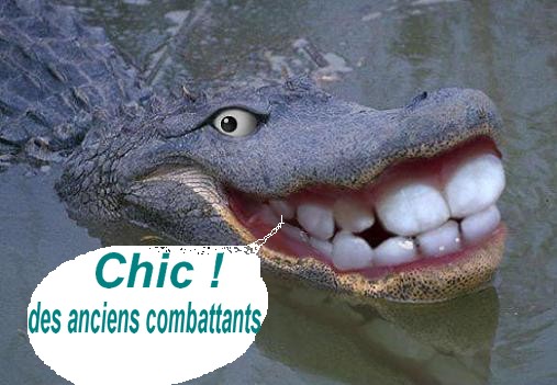 [croco-souriant.jpg]