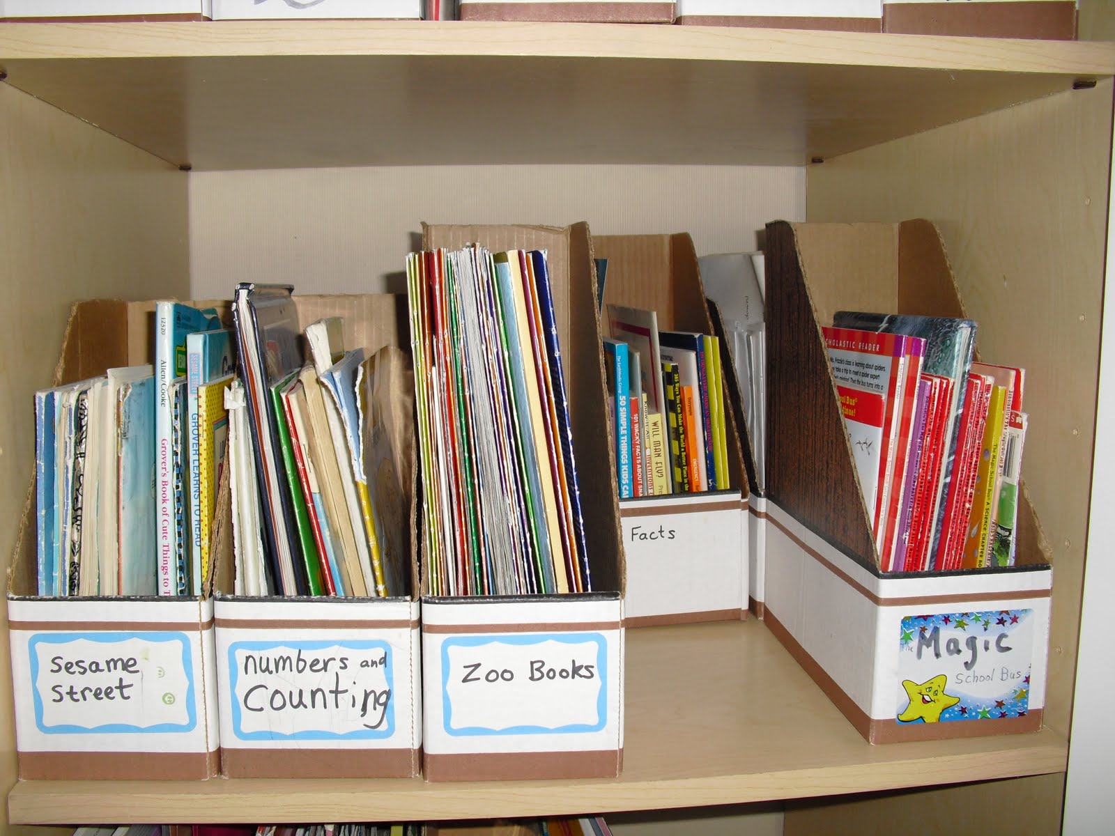 Beginning Reading Help Is It Possible to Organize Your Children's Books?