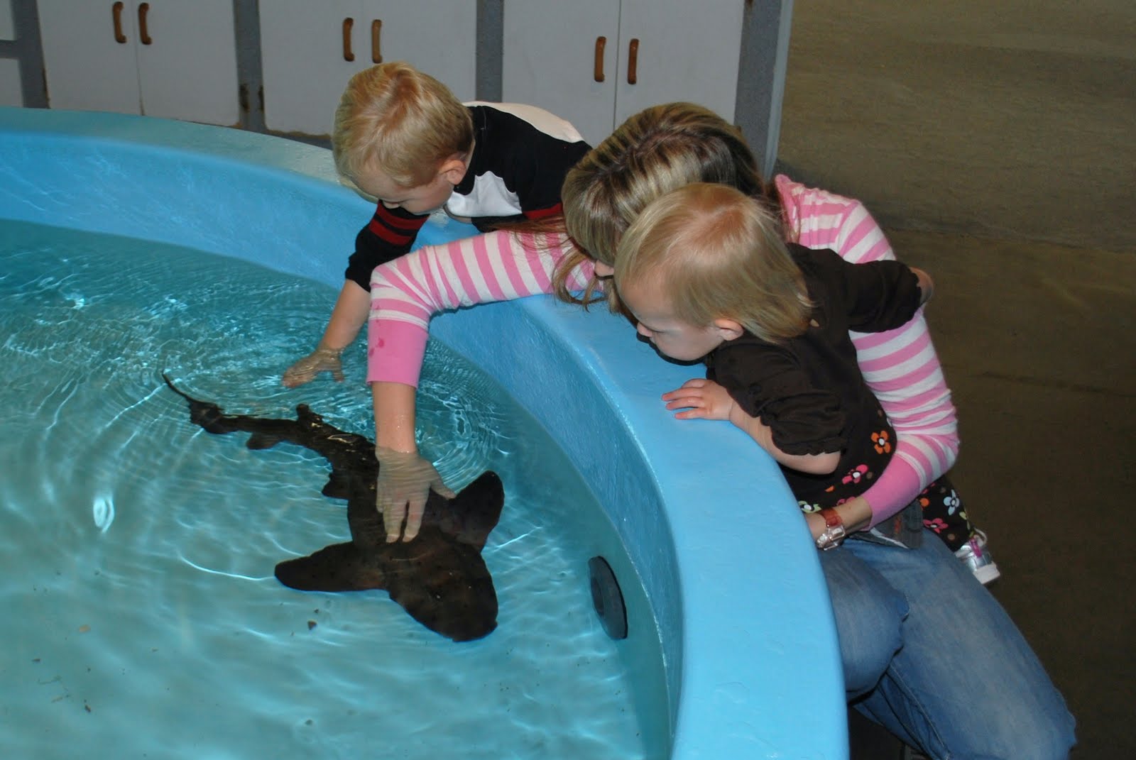 Baker Family Blog Crescent City Aquarium