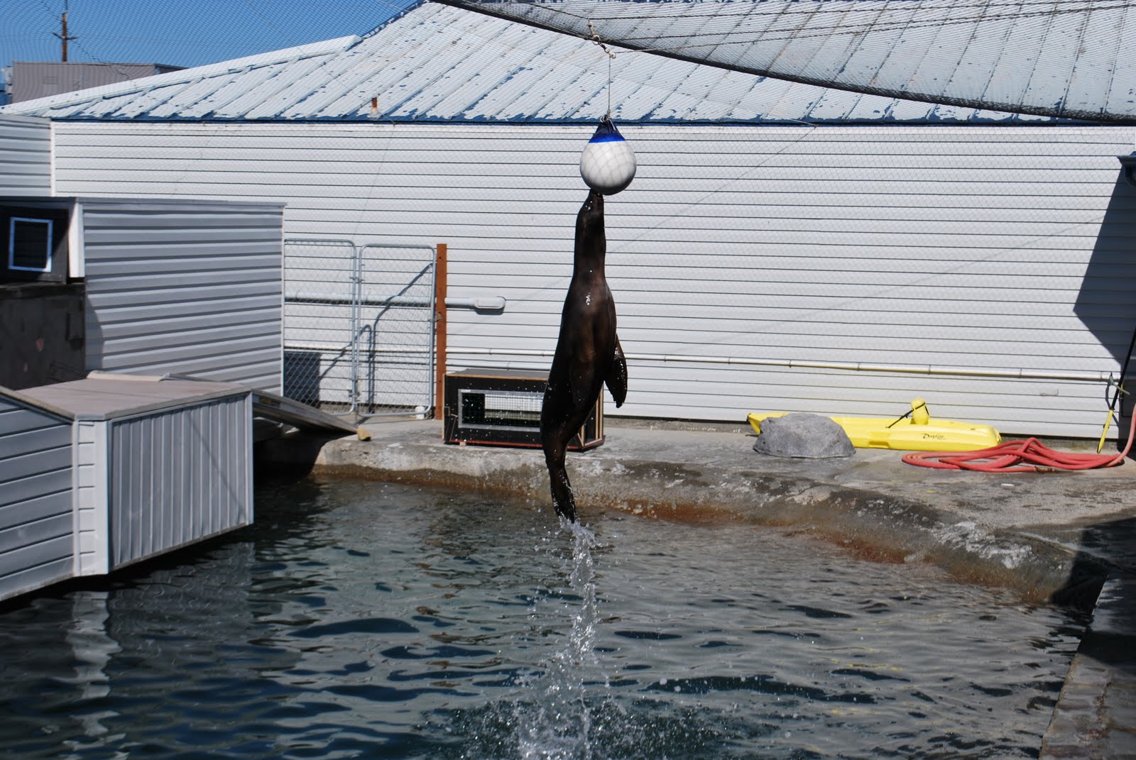 Baker Family Blog Crescent City Aquarium