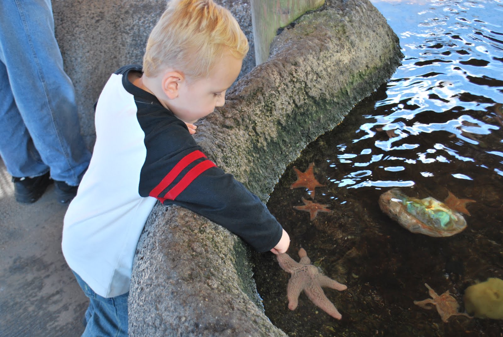 Baker Family Blog Crescent City Aquarium