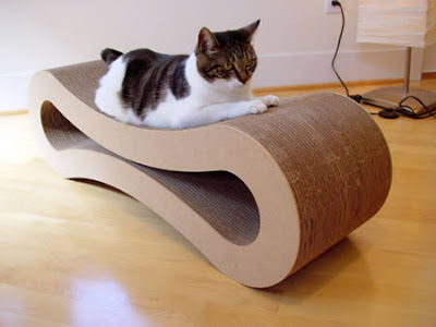 coolest pet bed photos