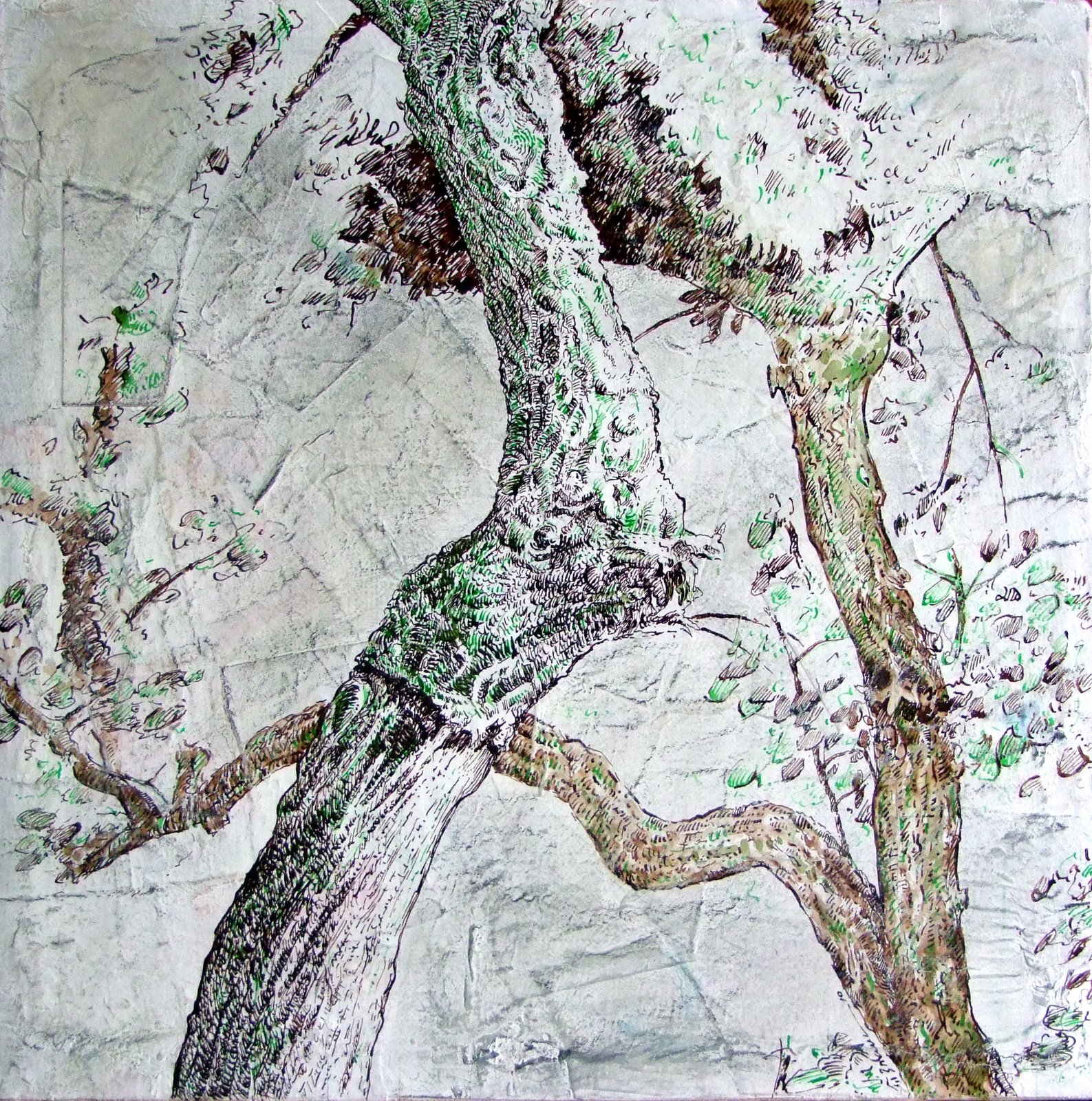 [qs_4d12_peBom_+010.jpg]